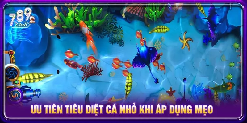 Ưu tiên tiêu diệt cá nhỏ khi áp dụng mẹo