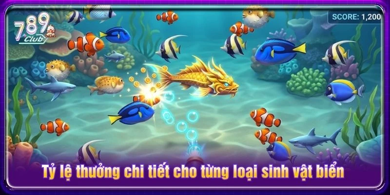 Tỷ lệ thưởng chi tiết cho từng loại sinh vật biển Tỷ lệ thưởng chi tiết cho từng loại sinh vật biển